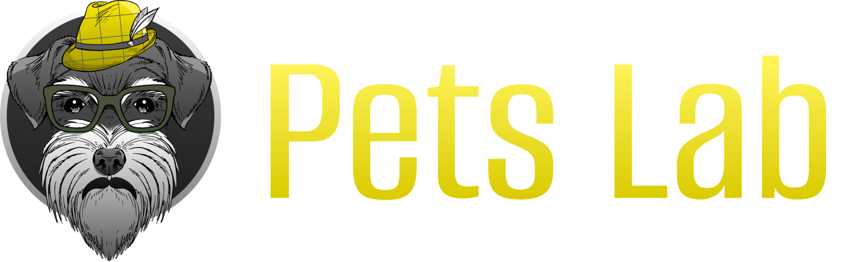Company