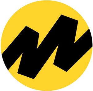 website icon