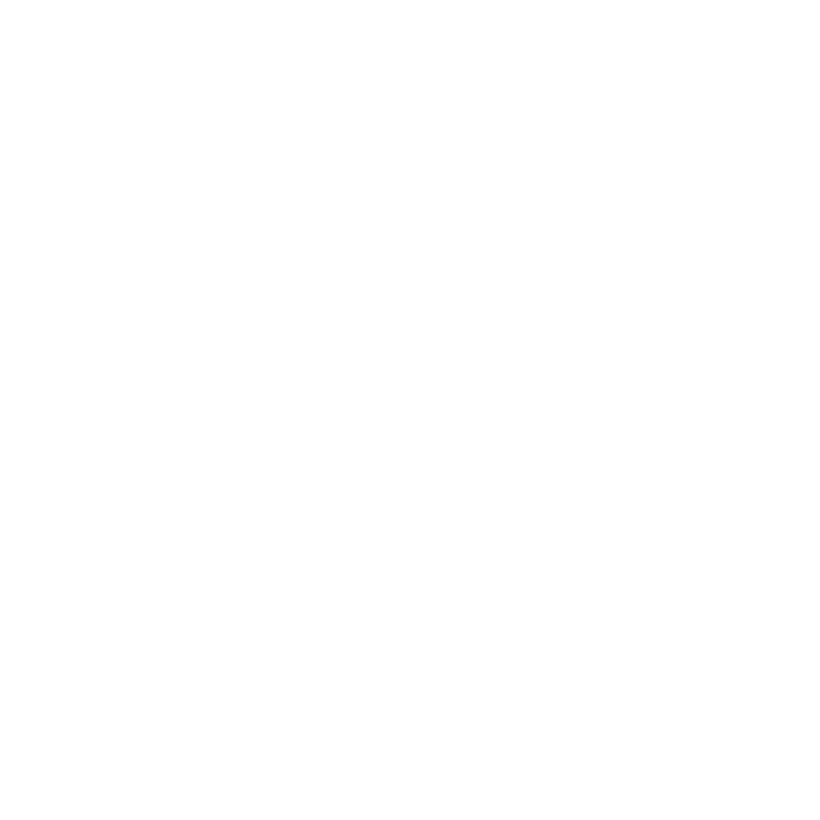 MiroS
