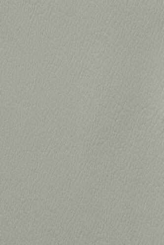 819 LIGHT GREY