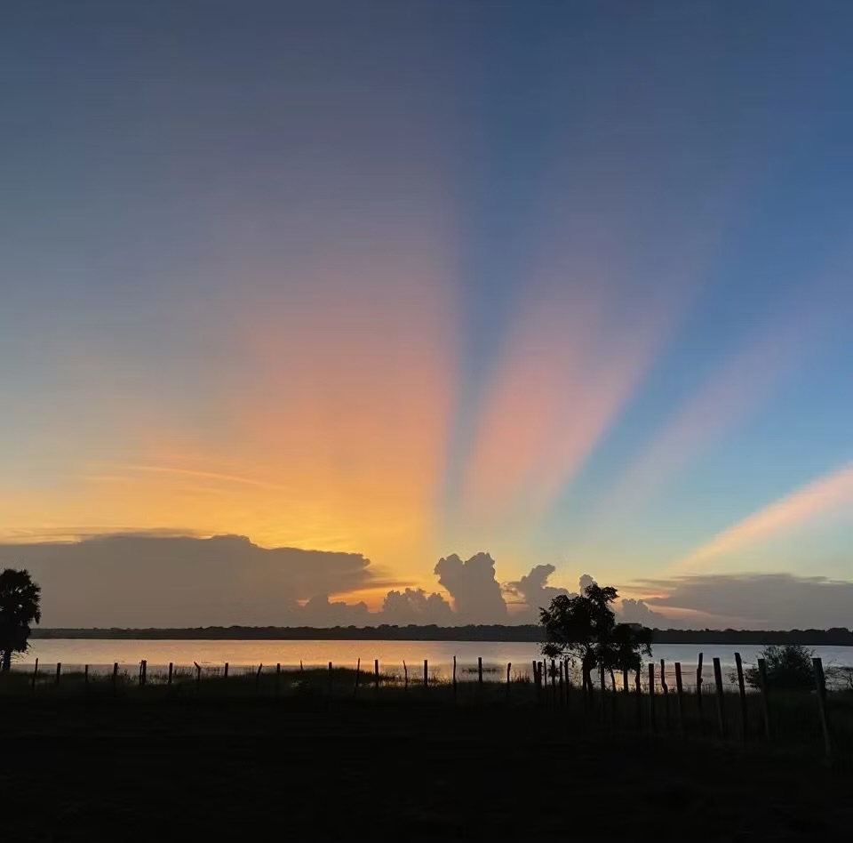 Landscape and horizon at Vonfidel Ranch in Sri Lanka
