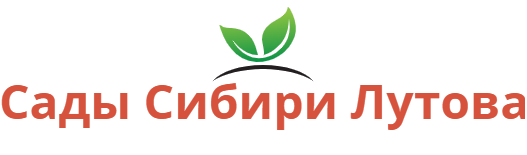  Сады Сибири Лутова 