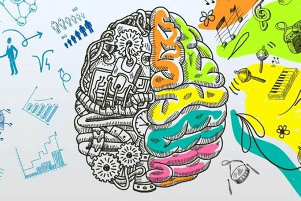 Картинка полушарие мозга. Полушария мозга. Креативное мышление. Нейропсихология мозг. Креативное мышление дошкольников.