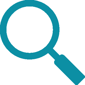website icon