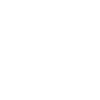 website icon