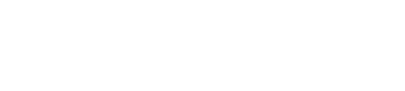 Florida Video Communications, INC