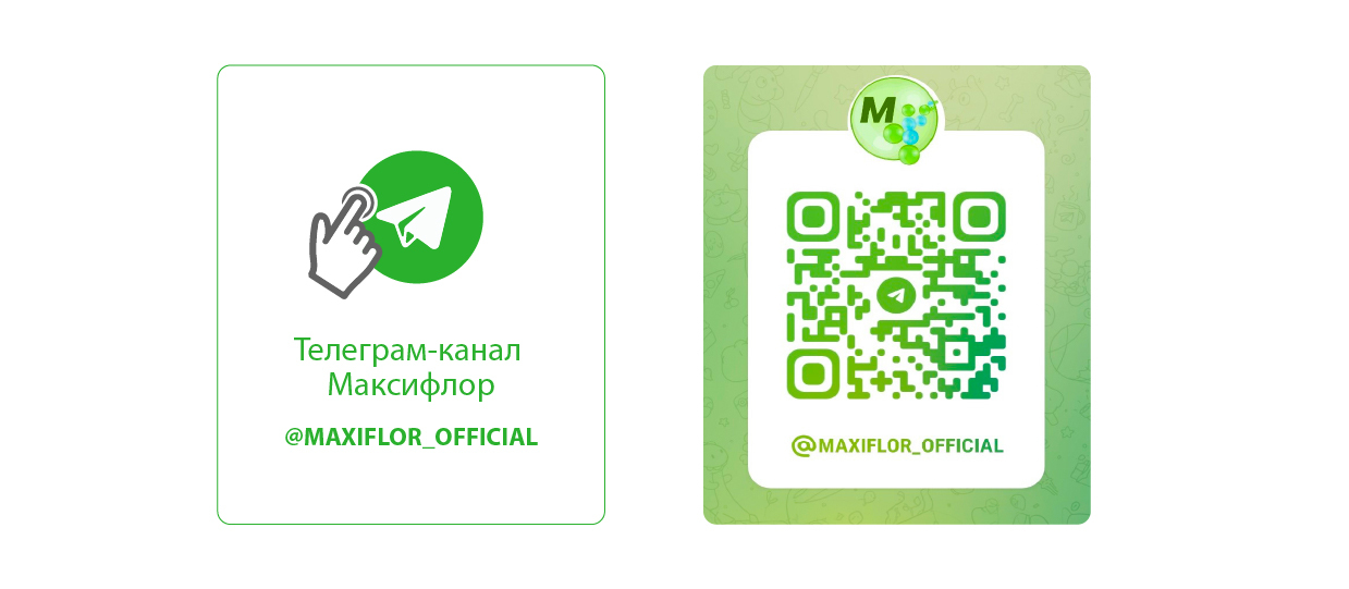 Телеграм-канал Максифлор