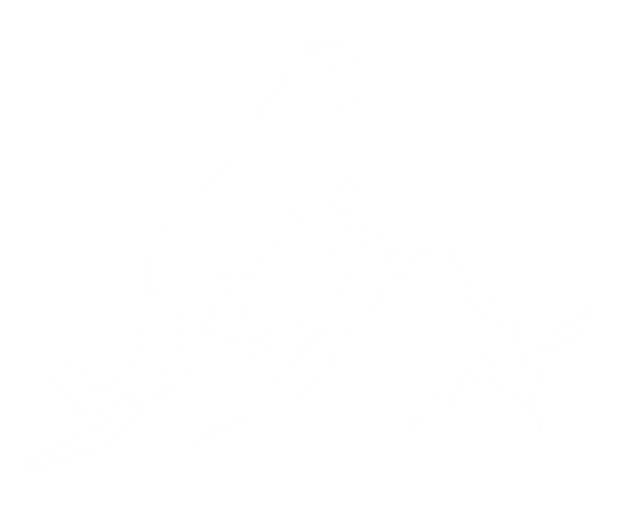 Уральский Барс