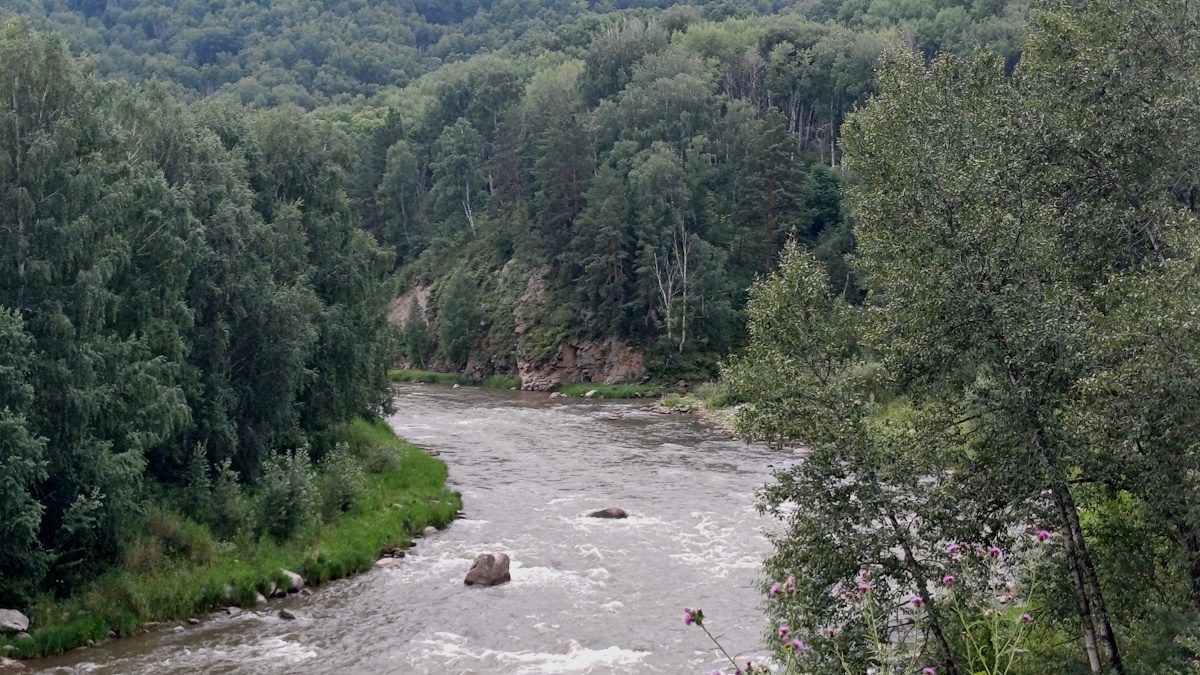 Урочище Щёки. Фото И. Богомолова