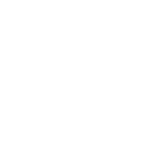 website icon