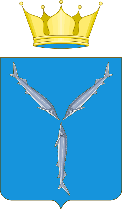 mp64.ru
