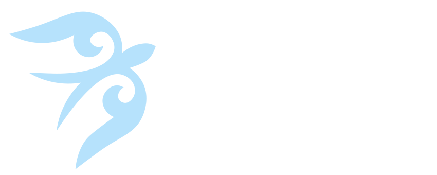 Company