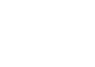 сваи жби