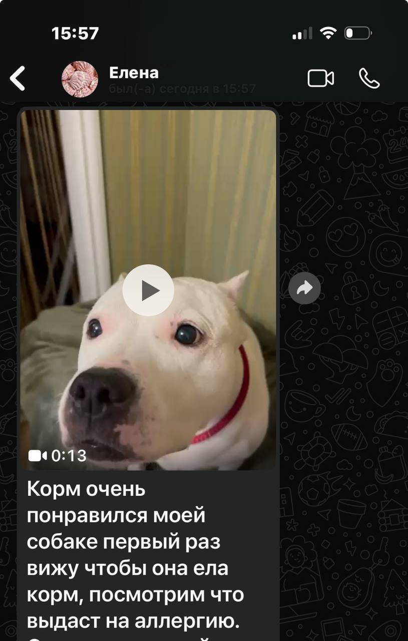 Владимир Владимирович Путин