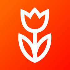website icon