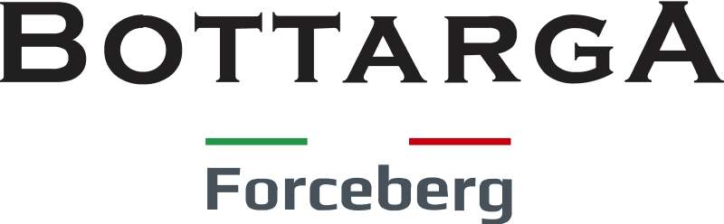 Логотип Боттарга Forceberg