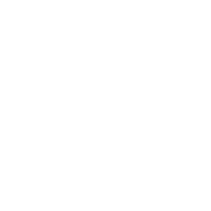 website icon