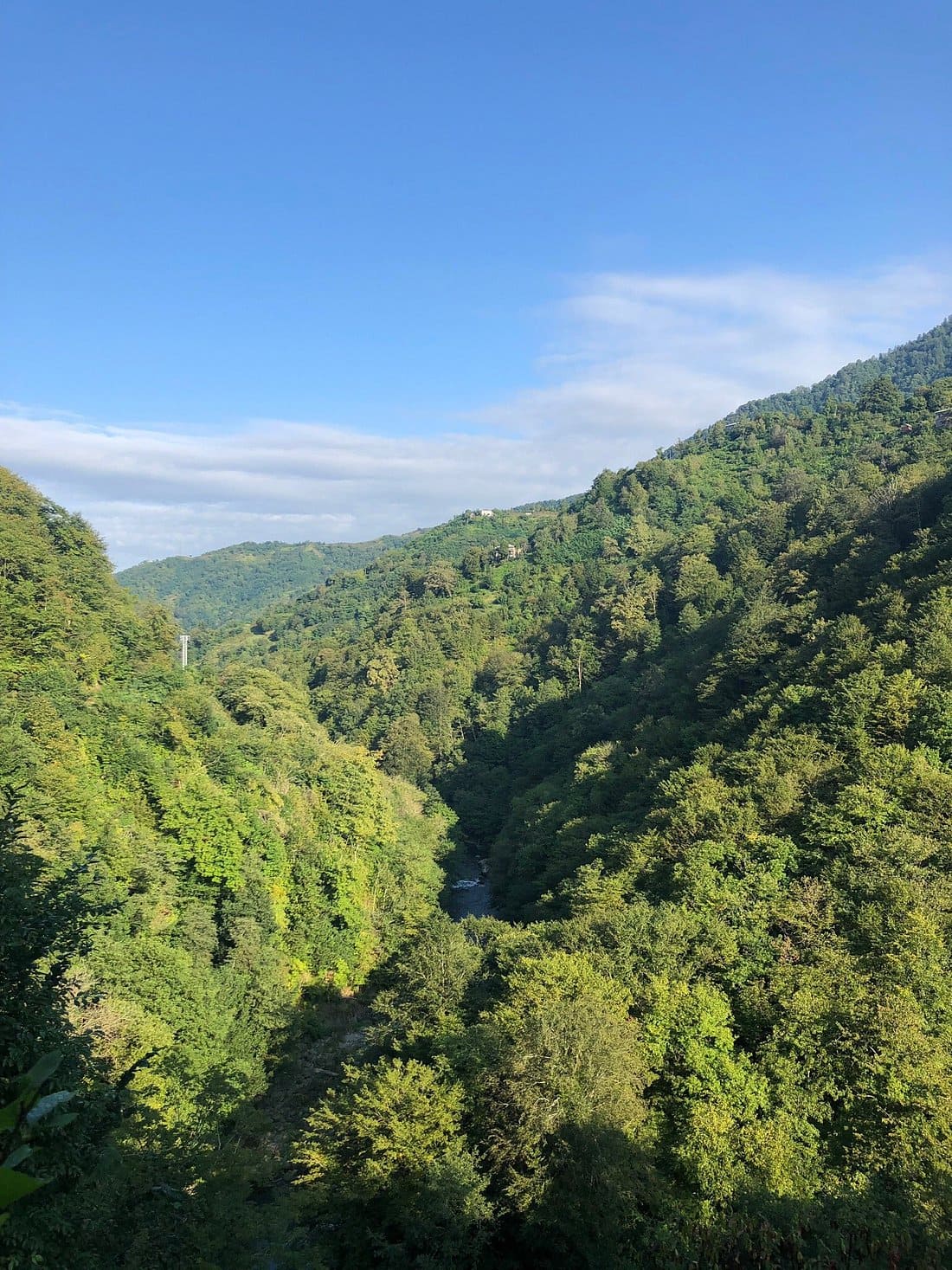Kintrishi National Park-Reserve in Kobuleti