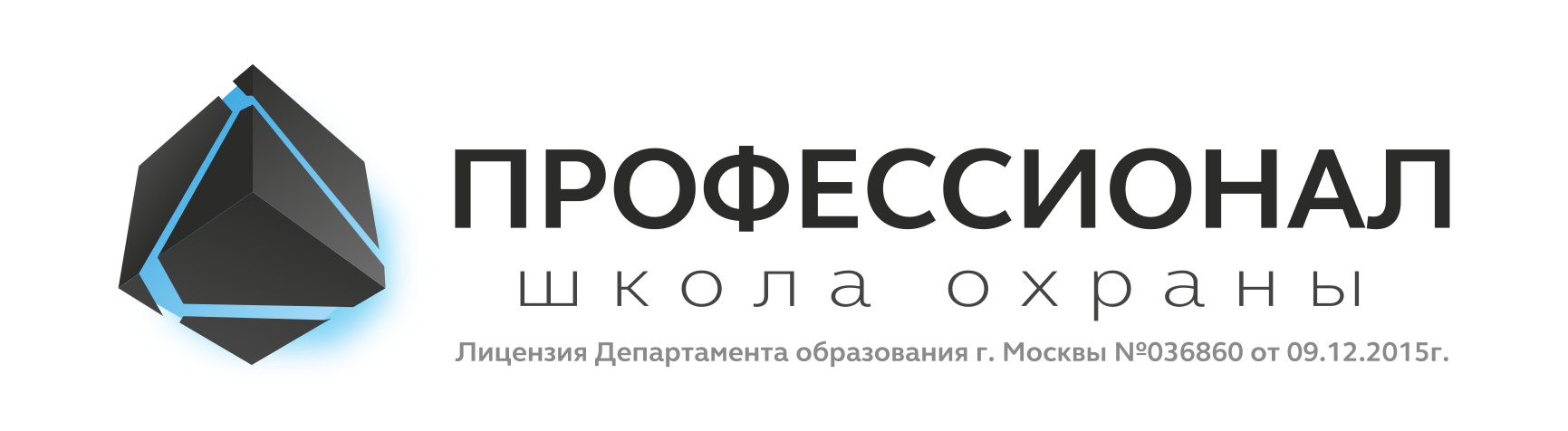 Школа охраны "Профессионал"