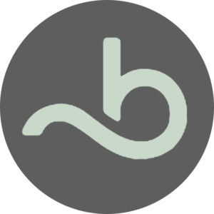 website icon