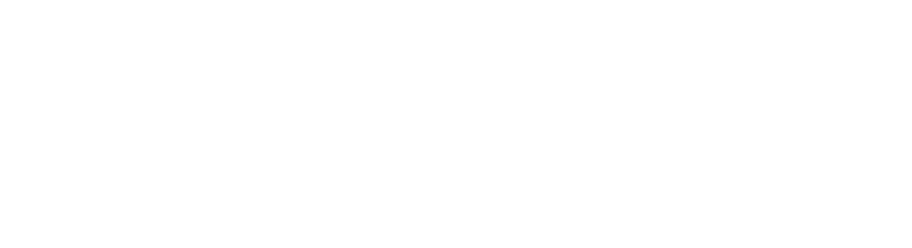  ДУОС 