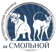 Company