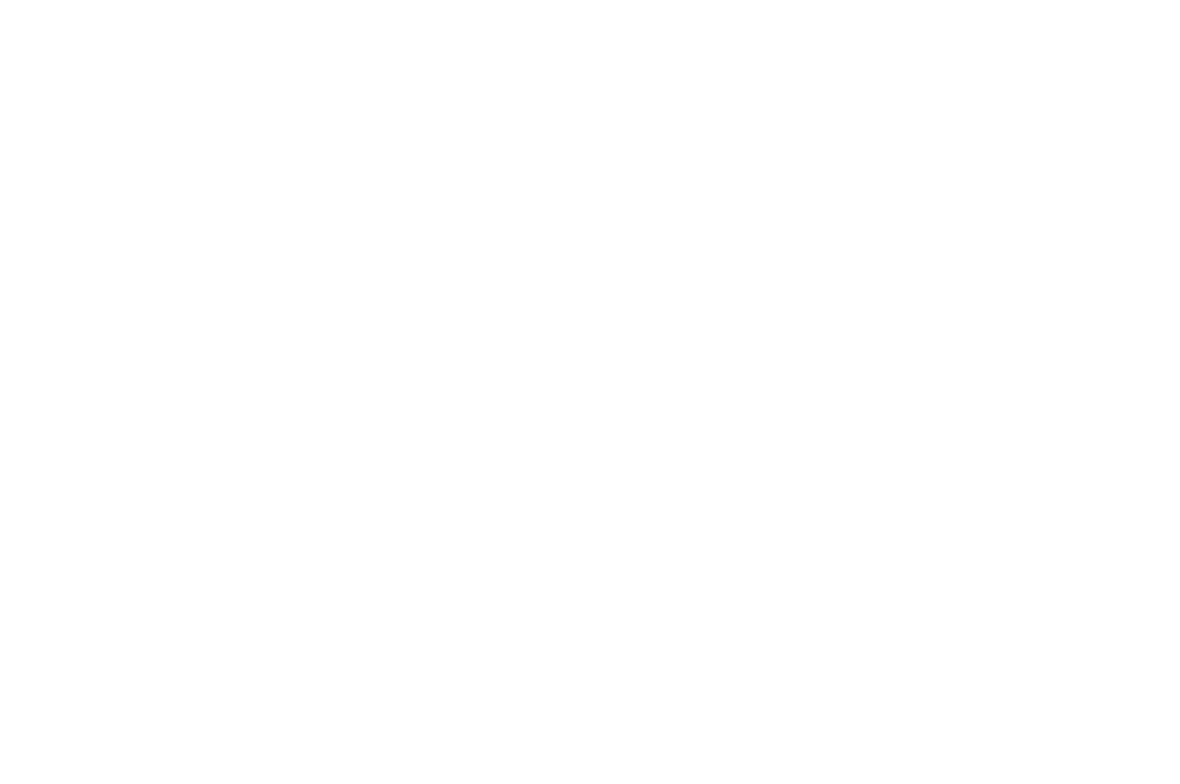 WellWall-logo