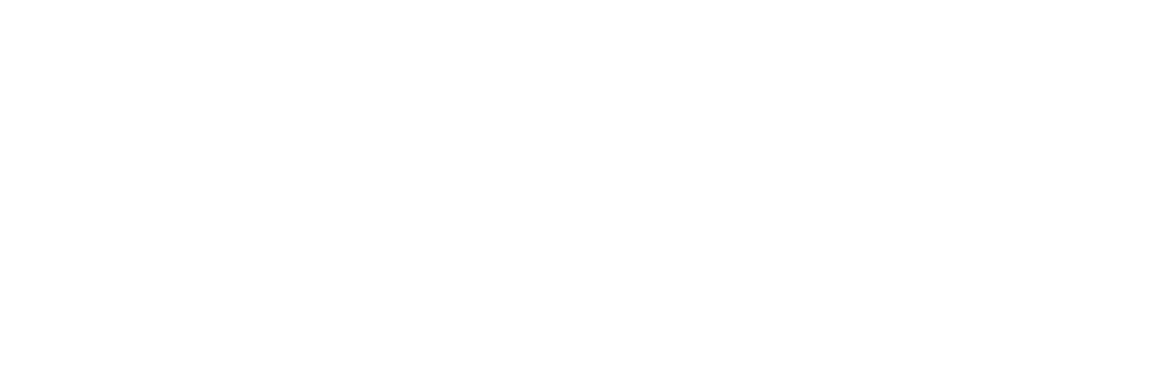 ROMANOVV.COM