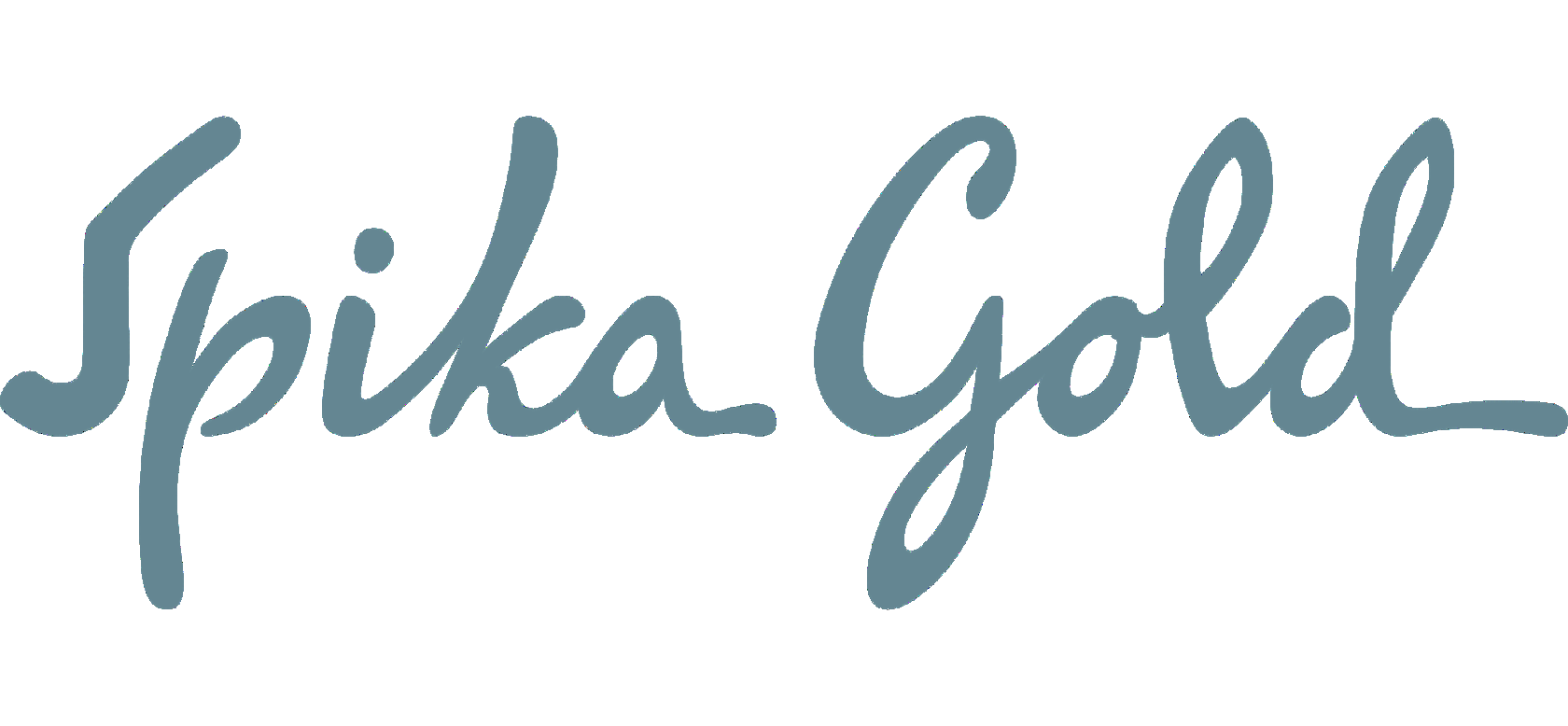 Company